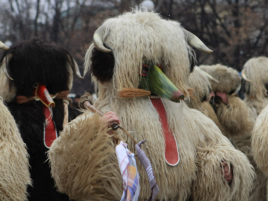 Международен фестивал на маскарадните игри, "Сурва 2014" гр. Перник