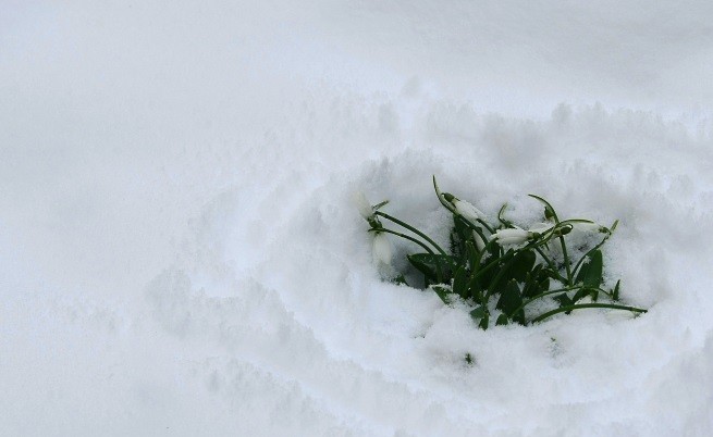 Двама мъже починаха от замръзване, части от страната са в снежен капан