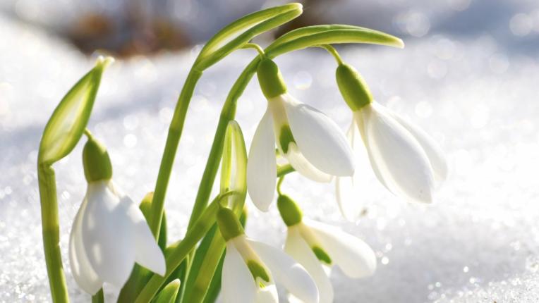  Дневен хороскоп за петък, 1 март 