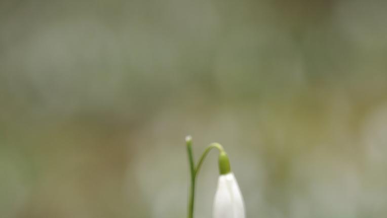  Дневен хороскоп за петък, 1 март 