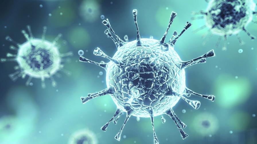 Вирус на 30 000 години оживя след размразяване