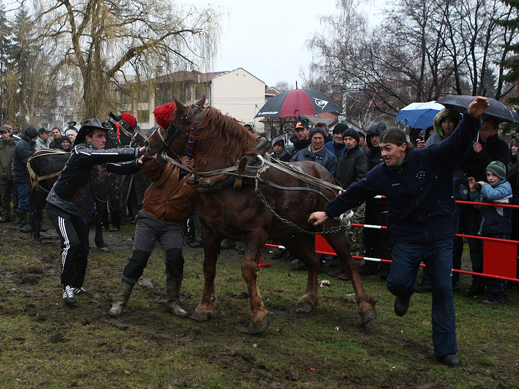 Тодорова събота в Гр. Самоков, деня на коневъдството и конния спорт. Тодоровден, Конски Великден, Съботата след Сирни Заговезни се празнува главно за здраве на конете.