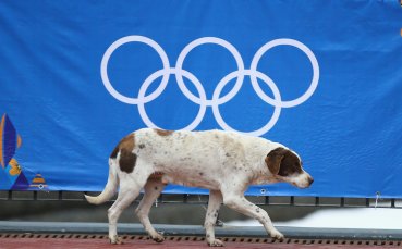 Gulliver/Getty Images