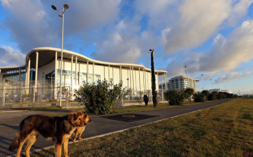 Gulliver/Getty Images