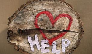 "Ейч енд Ем" и "Зара" се отказват от вискоза от изчезващи гори