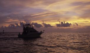 Търсят рибар, паднал зад борда в залива на Поморие