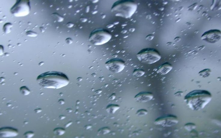 Нов национален спорт – да плюеш по Левски