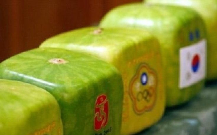 Старт на европейската битка за Пекин