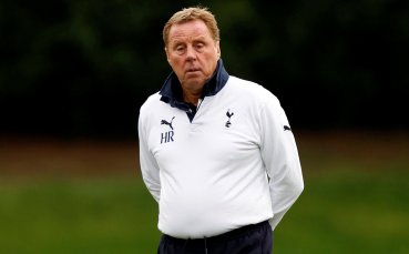 Реднап бил идеален за селекционер на Англия