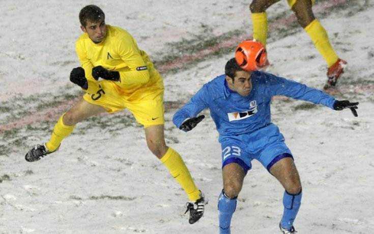 Гент мачка в Белгия