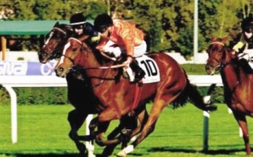 ВИДЕО: Коне на Литекс печелят груповите бягания в Милано и Рим