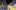СНИМКИ: Бързите скорости увлякоха и Кейти Пери