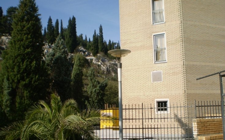 Студентите настанени в зелен оазис