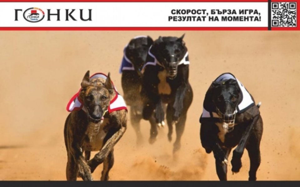 Хиподрумът в Шефиилд се оказа късметлийски за участниците в „Еврофутбол”