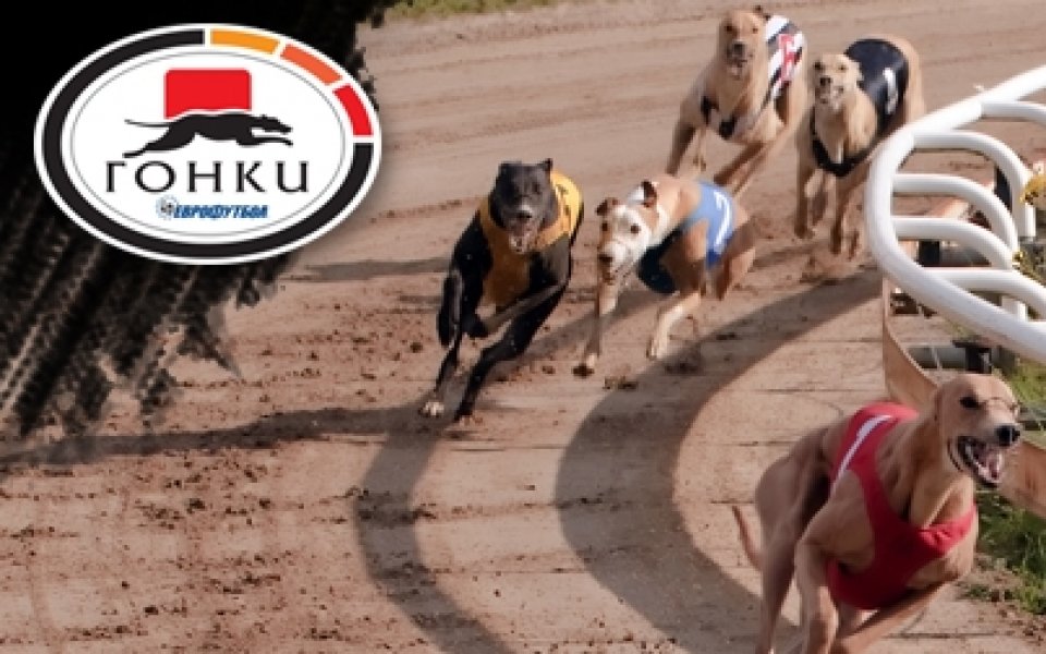 Гонките продължават да генерират печалби за участниците в „Еврофутбол”