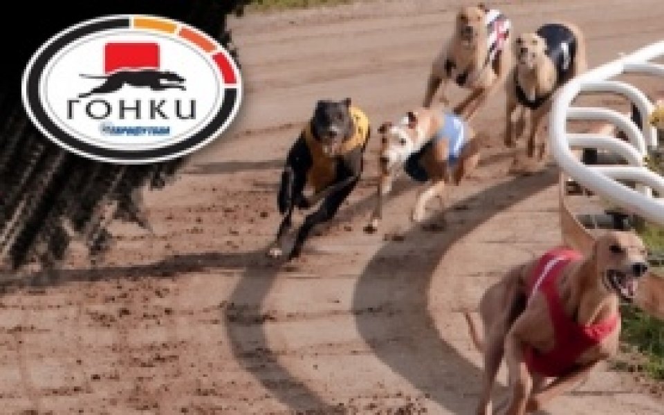 Еврофутбол: близо 21 244 лева от гонките взе познавач от Сливен