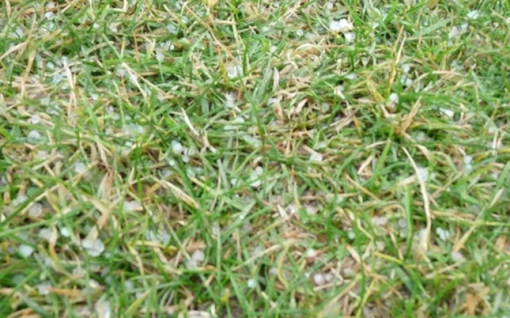 Гръмотевична буря прекъсна тренировката на Ботев