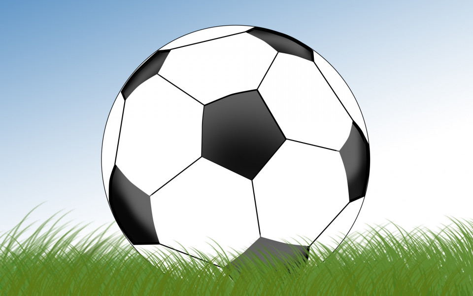 Два от участниците на Евро'13 в групата на българките за Канада