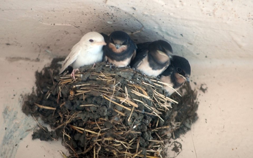 Химера ли е да очакваме неочакваното?