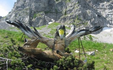 СНИМКИ: Футболистите на Лудогорец отмарят на 1919 метра височина