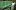 СНИМКИ: Локо Пд отново се движи с бусове за тренировките