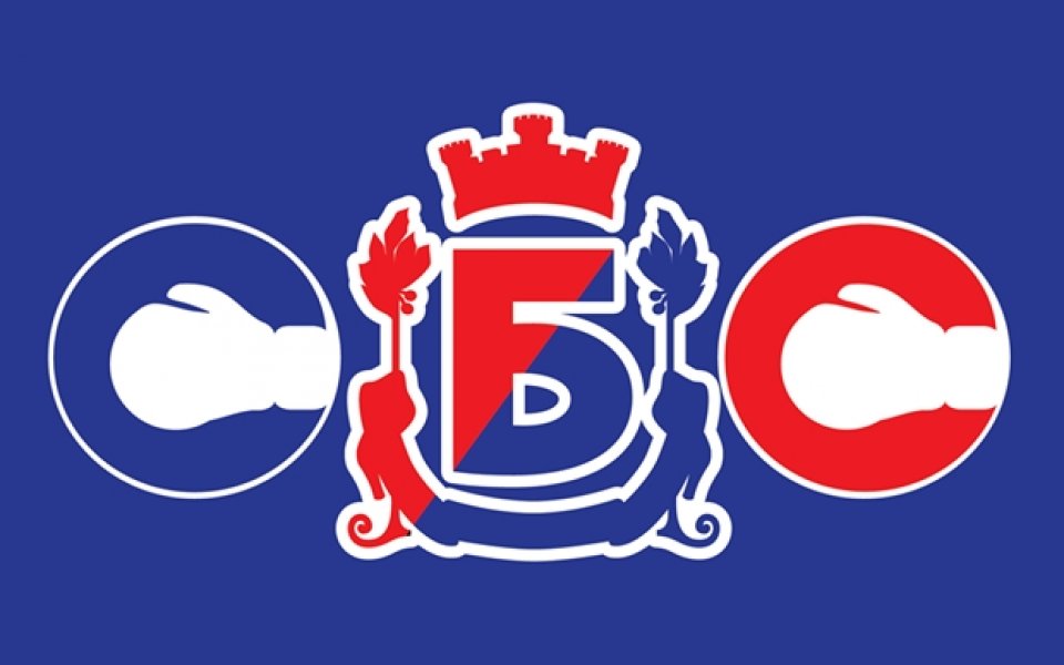 Боксов турнир за купа 