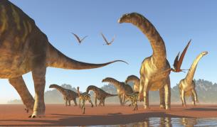 Аржентинозавърът е най-голямото сухоземно създание в историята на планетата