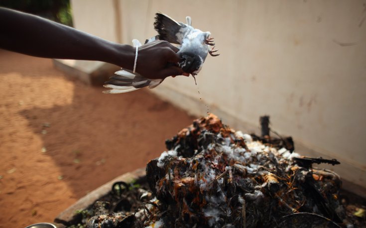 Вуду жрица спира Реал  във финала на ШЛ