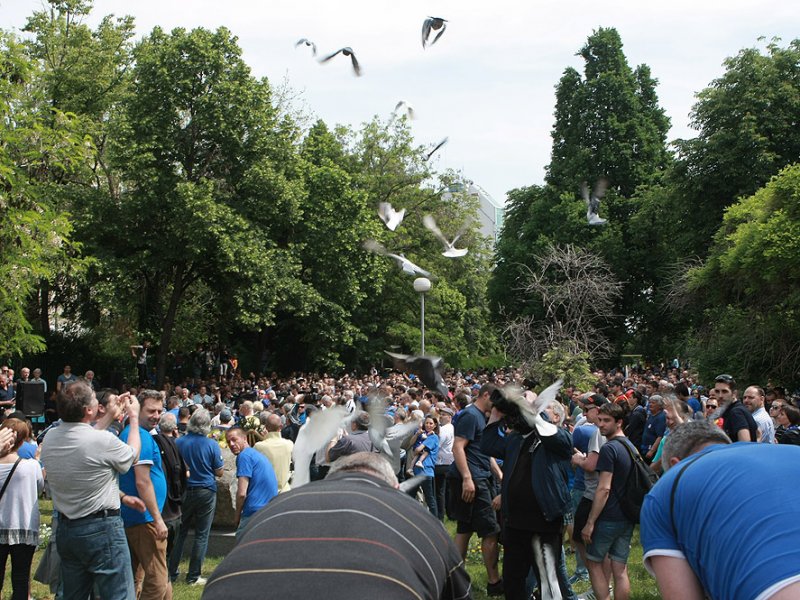 Фенове на Левски1