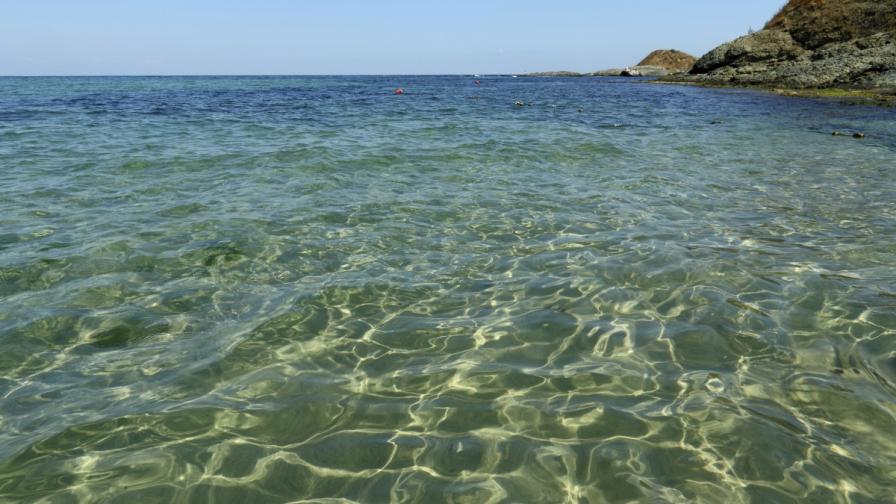 ЕАОС: 66% от плажовете в България са с отлично качество на водата