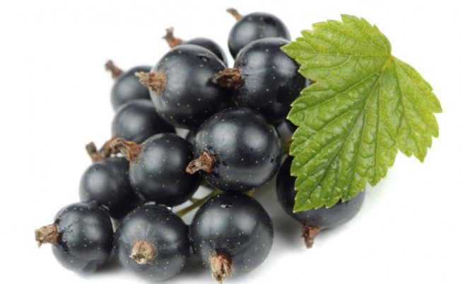Ето кое е най-здравословното френско грозде