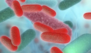 Компютърна илюстрация на бактерията салмонела, която причинява салмонелоза