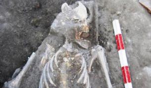 Археолози откриха вампир и в Пловдив