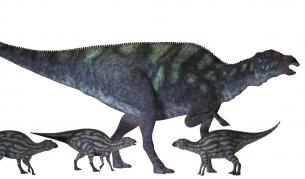 Динозаврите са разчитали на детегледачки