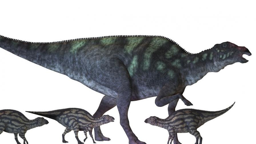 Динозаврите са разчитали на детегледачки
