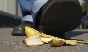 Кои са най-шантавите научни изследвания тази година