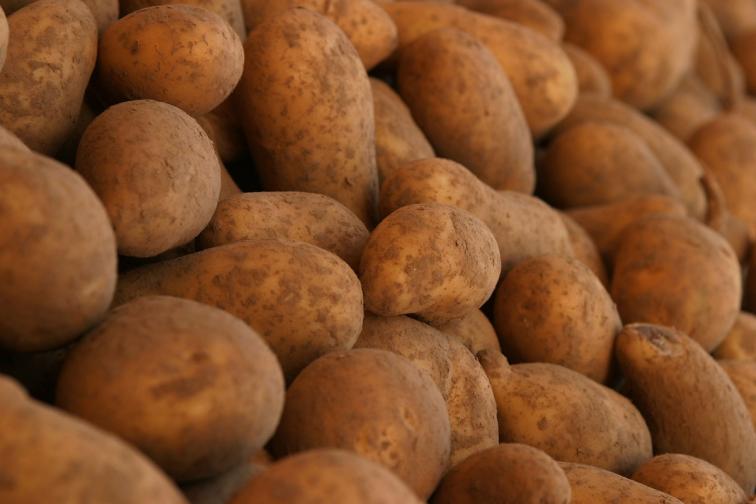 картофи картоф