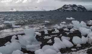 Условията на живот в Южния океан са сурови