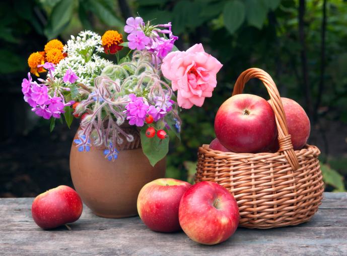 Любимите очарования на есента - снимка 12