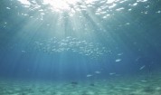 Водата на океанското дъно не се затопля от 2005 г.