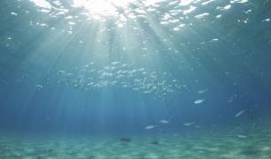 Водата на океанското дъно не се затопля от 2005 г.