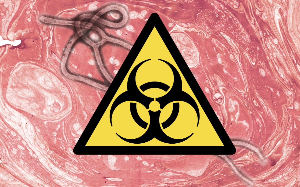 <p><strong>Ебола</strong></p>

<p>Ебола причинява тежко кървене във вътрешните органи и телесните отвори. Симптомите включват повръщане, диария, треска, умора и силно главоболие. Огнища на заболяването са регистрирани в много африкански страни. Смъртността при Ебола варира от 50 до 90% и заразените могат да умрат в рамките на няколко часа след появата на симптомите.</p>