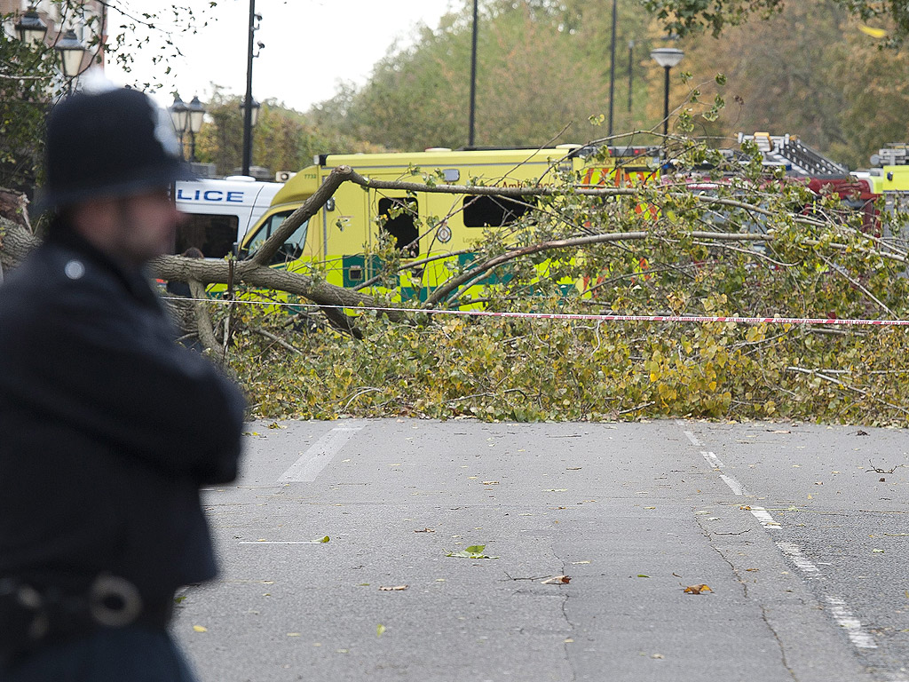 Спасителните служби са на мястото, където дърво падна и уби жена в Найтсбридж, централен Лондон, Великобритания. Инцидентът стана извън Хайд Парк след като урагана Гонсало премина през Обединеното кралство
