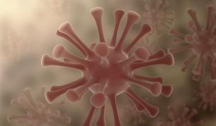 Ваксина срещу хепатит С дава обещаващи резултати