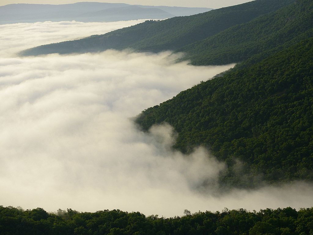 От птичи поглед над горите на Източните Родопи. Rewilding Rhodopes ще работи за опазването на старите гори и за популяризирането на все повече режими за естествено управление на защитените зони и ловните концесии.