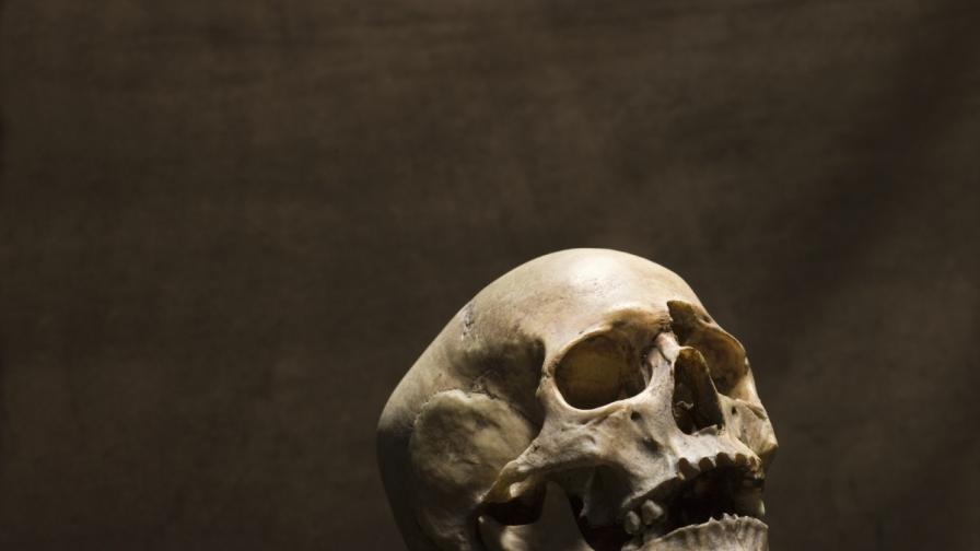Откриха скелети с окови от I – II в. във френски некропол