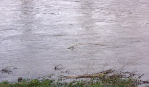  Извънредна обстановка, отровена ли е Марица - България 
