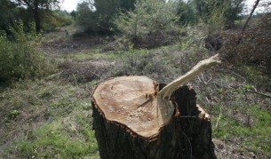 Бракониери нападнаха горски с камъни