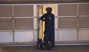 Полицейско куче души на мястото на атаката, докато полицаи правят оглед