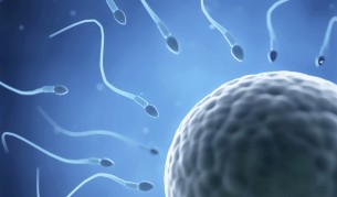 Учени: Ранното бащинство може да е рисково за децата